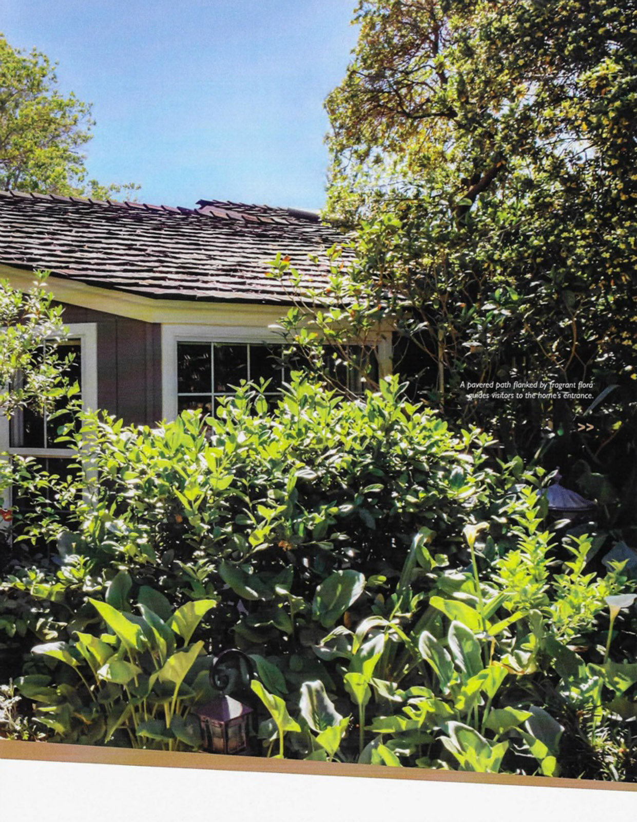 Arizona Lifestyle Magazine  May 2016  page 10